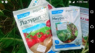 Экстренный выпуск,что за птица?Часть 1.Обработка картофеля гербицидами: лазуритом, молбузин, лиура.