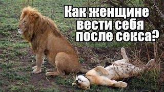 После СЕКСА.  Как женщине ПРАВИЛЬНО себя вести?