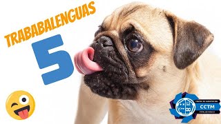 ????️ ????????️ ¿Puedes decir los trabalenguas más rápido que yo? | Trabalenguas 5