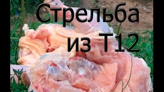 Стрельба из  гранд пауэр Т12 по курице и мишеням