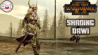 Shading the Dawi - Total War Warhammer 2 - Online Battle 262