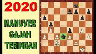 ENDING GAJAH SEWARNA PALING ELEGAN oleh Wesley So  dalam pembukaan gambit menteri 2020