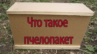 Богатый пчеловод ЧТО ТАКОЕ ПЧЕЛОПАКЕТ