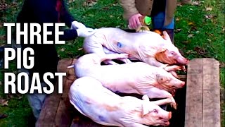 3 Pig Roast Barbecue by the BBQ Pit Boys