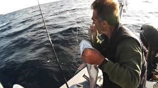 snapper- δυο μικρα ωραια ψαρακια πριν τον καιρο,sotos fishing