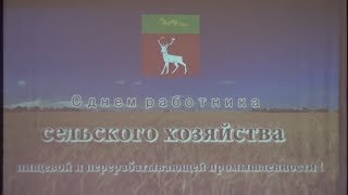День работника сельского хозяйства и перерабатывающей промышленности Бузулукского района отмечен тор