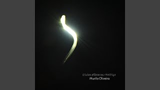Ciclos Efêmeros
