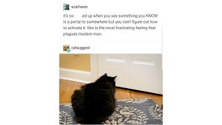Tumblr Posts - Episode 30