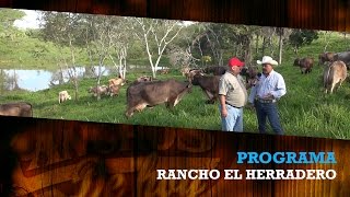 SuizBu .. RANCHO EL HERRADERO