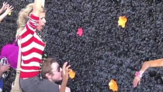 Mardi Gras New Orleans with Brie (MyRedSolara)