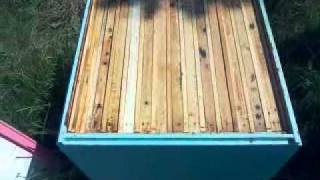 Ставлю магазины на  сильные отводки