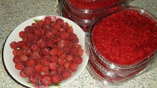 Как ВКУСНО заморозить ягоду на зиму?