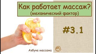Как работает массаж (механический фактор) | Урок 3, часть 1 | Обучение массажу