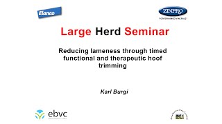 Reducing lameness through timed functional and therapeutic hoof trimming by Karl Burgi