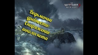 Где найти вход в подземелья под храмовым островом (Ведьмак 3) / "Снаряжение школы кота"