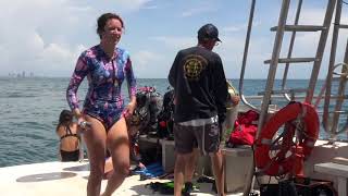 International Women's Dive Day | Miami WaterKeeper | Key Biscayne Citizen Scientist