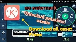 Download All premium Assets In KineMaster