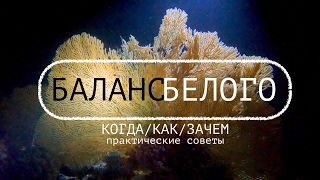Как настроить WB вручную | Условия и факты | Практические советы