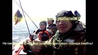 Морская рыбалка на камбалу Сахалин. Морская собака. the island of Sakhalin. 在萨哈林岛钓鱼
