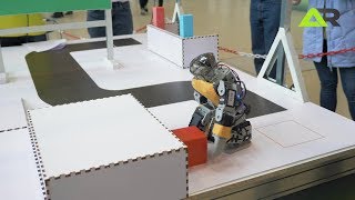 PROFEST-2019. Многоборье. Команда AR-23 (направление "Андроидные роботы")