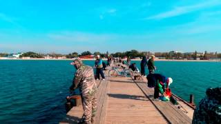 Рыбалка в Анапе на море с берега видео в октябре 2015 лов Саргана  http://www.welcometoanapa.ru