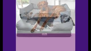 Orthopädisches Hundebett - gesund und dennoch bequem