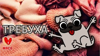Требуха или рубец