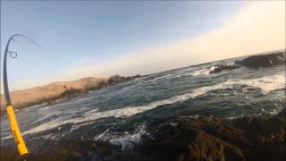 Pesca de Cabrillas - Iquique