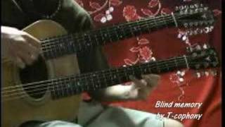 Blind memory - T-cophony