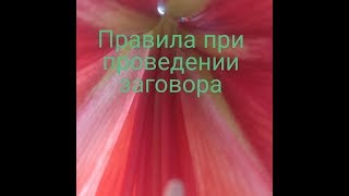 Как правильно произносить заговоры