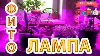 Фито лампа