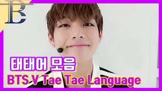 [방탄소년단/뷔] 태태어+귀여운 말투 모음(BTS V Tae Tae Language)