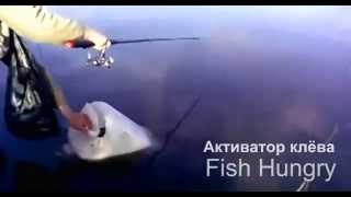 Активатор клева FishHungry