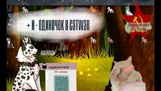 + и - одиночек в CATWAR    ♦ catwar ♦