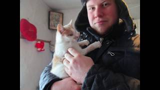 Спасение котенка с жутким переломом челюсти!!!!!