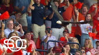Reeve learns about Auburn's bald eagle mascot | SportsCenter | ESPN