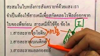 ข้อสอบเข้าม.1 : วิทยาศาสตร์ ตอน10