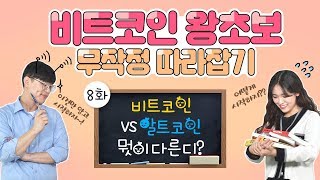 [비왕무따 #8] 비트코인 VS 알트코인 뭣이 다른디? (비트코인 왕초보 무작정 따라잡기)