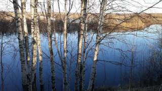 Река Водла Республика Карелия Пудож   май 2017