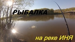 Отличная рыбалка на реке Иня на поплавок весной. 6.05.2014