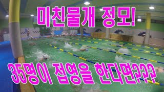 미친물개 수영모임 (생각하는 수영)&35명 단체접영 샷