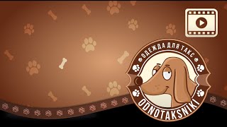 Вязанный комбинезон для таксы
