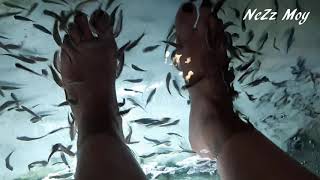 THAI FOOT MASSAGE THERAPY WITH TICKLE FISH // PHUKET - THAILAND