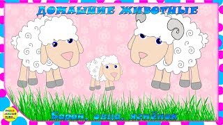 Учим животных:  баран, овца, ягнёнок! Развивающие мультфильмы о животных