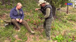 Как Путин в тайге отпуск проводил 2019 Видео с Похода президента
