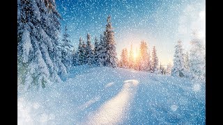 5 ИНТЕРЕСНЫХ ФАКТОВ О СНЕГЕ