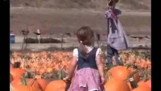 Underwood  Family Farms Fall Harvest Festival