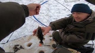 Рыбалка Зимой На Ротана На Косынки Эксперимент!!! Крупный Ротан