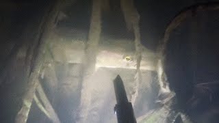 Подводная охота - 2020 начало года