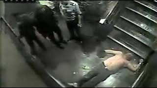 2013 год. КИТАЙСКИЕ ЖИВОТНЫЕ ЗАБИВАЮТ МУЖИКА